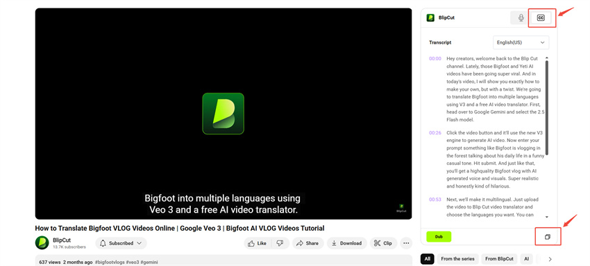 BlipCut download YouTube transcripts