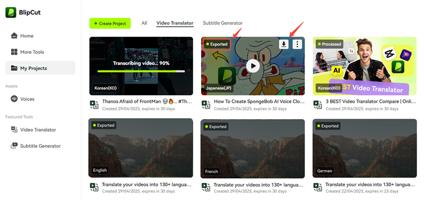 BlipCut download video with subtitles