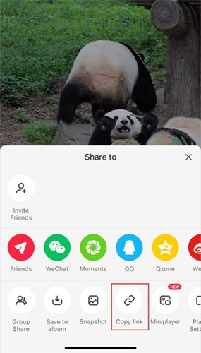 BlipCut create translation task