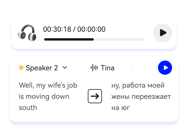 preview translation results