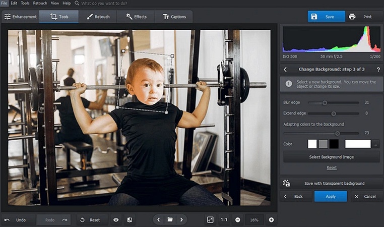 PhotoWorks Face Swap Program