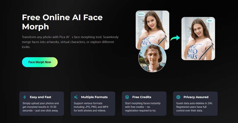 Pica AI Morph Images Online