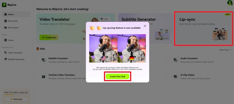 browse blipcut pick lip-sync