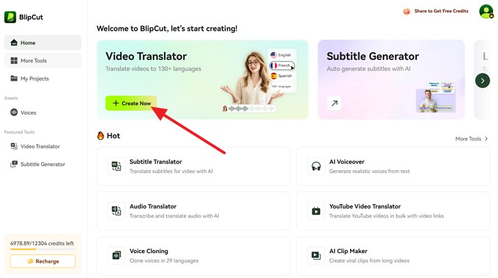 Access Video Translator