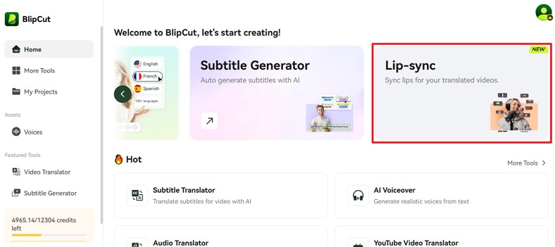 select lip sync for video avatar