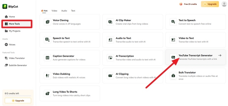 blipcut youtube transcript generator