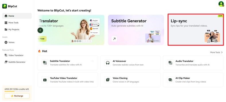 blipcut best lip-sync animation software