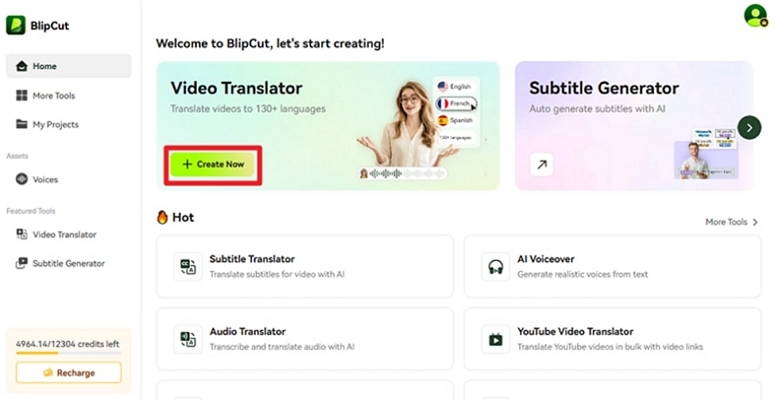 access video translator blipcut