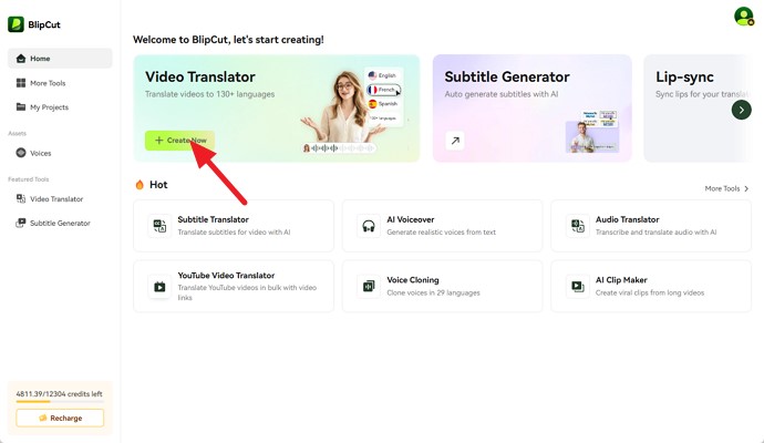 add celebrity video video translator
