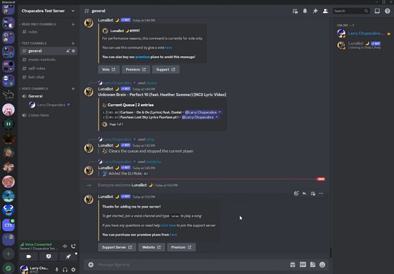 discord music bots lunabot