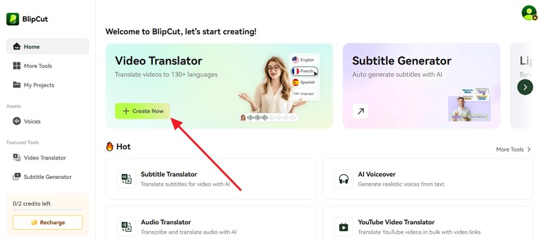 browse blipcut start video translation
