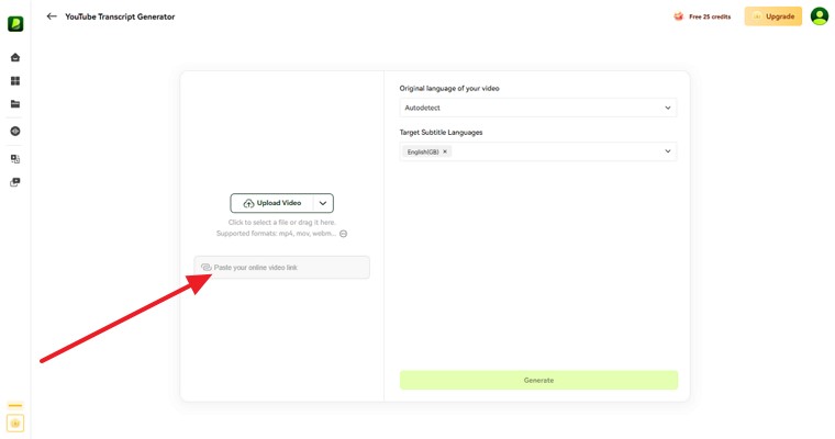 paste video link for transcription