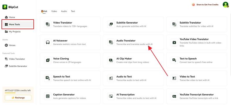 access audio translation blipcut