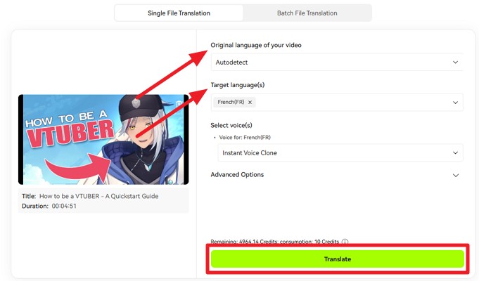 pick language vtuber avatar model