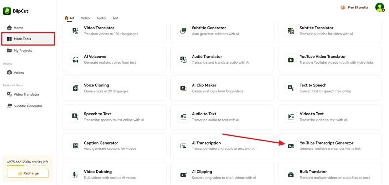 select youtube transcript generator in blipcut