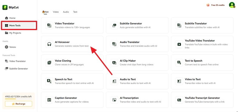 choose ai voiceover tool blipcut