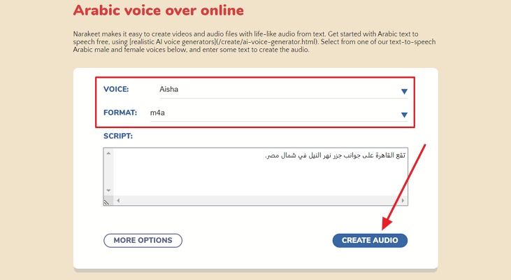 adjust voice and format to process