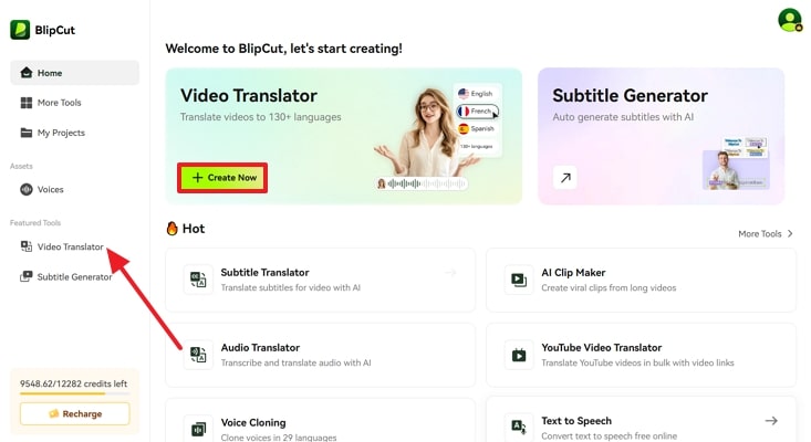 proceed to create blipcut video translation