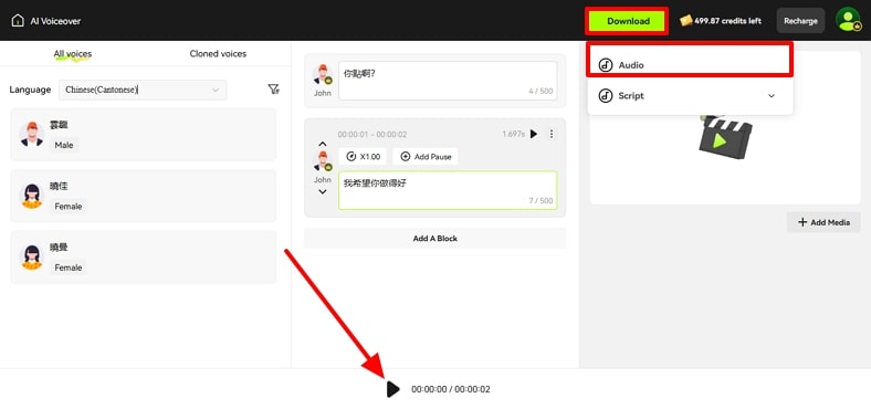 play voice and download audio