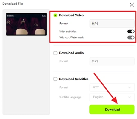 download final result with subtitles