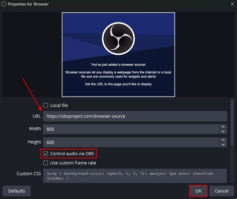 check control audio via obs option