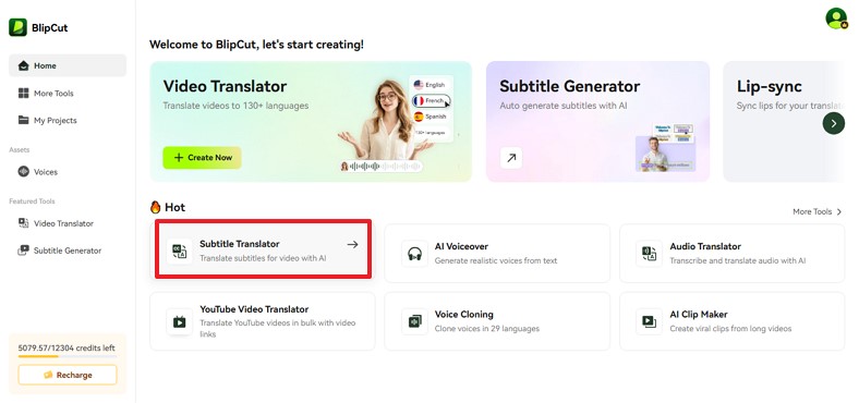 start translating with blipcut tool