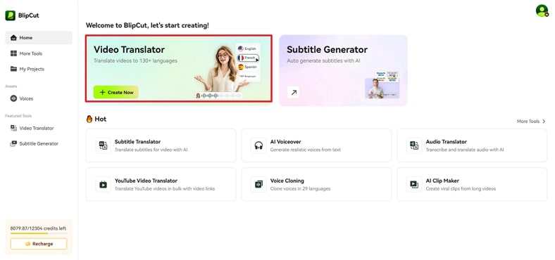access video translator blipcut