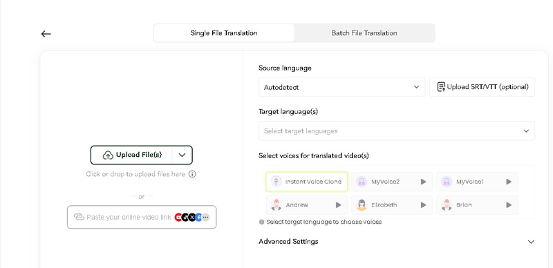 vidnoz ai alternative