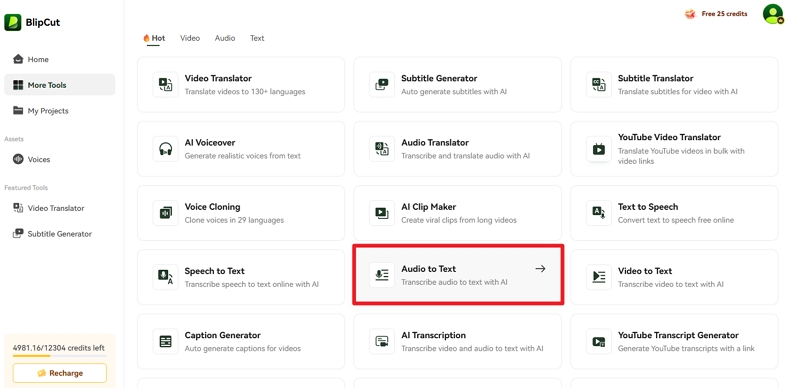 enter blipcut for audio to text