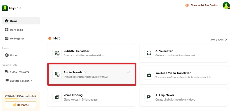 try blipcut audio translator