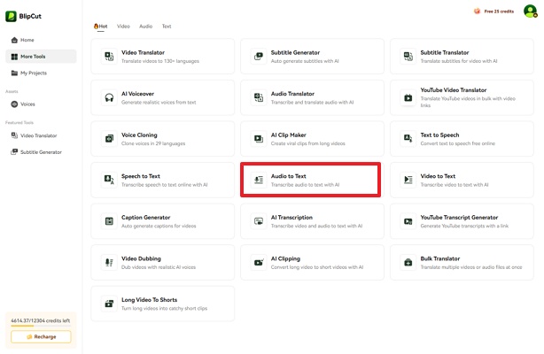 tap audio to text to start editing