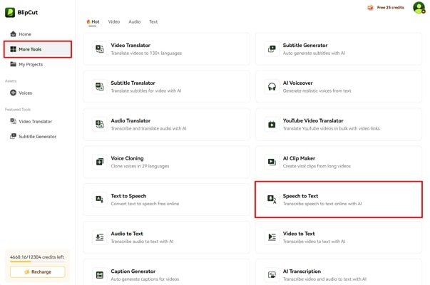 access blipcut speech to text