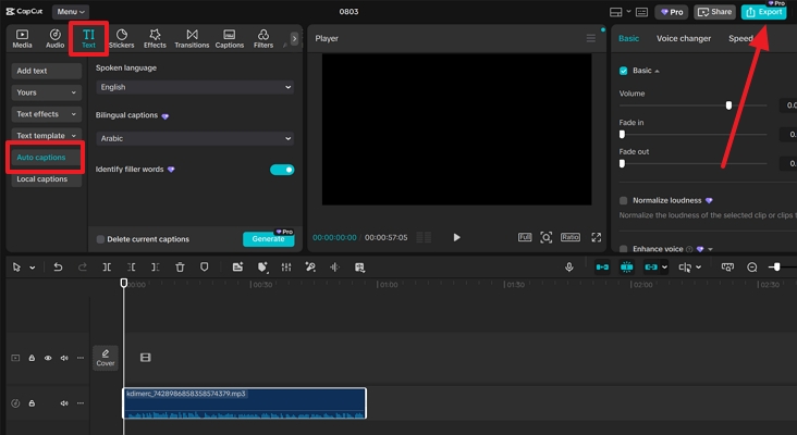export after getting transcription