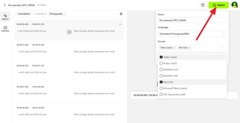 choose text file for conversion