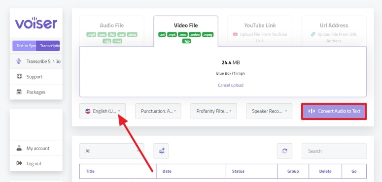 set transcription settings voiser