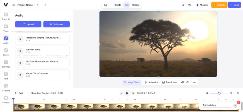 long audio files transcription veed.io