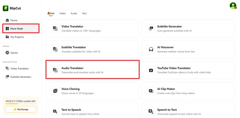 Access Audio Translator