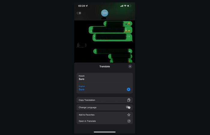 Choose Language English to SMS Translation