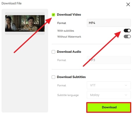 download video with chinese translation
