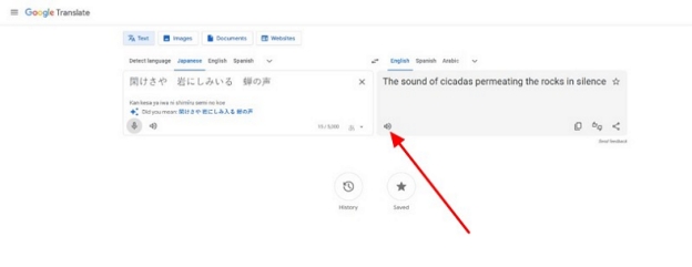 carry out google translate japanese to english audio