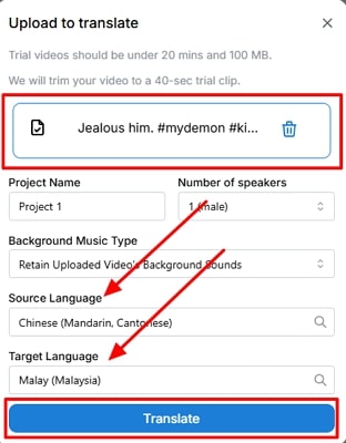 define videodubber translation settings