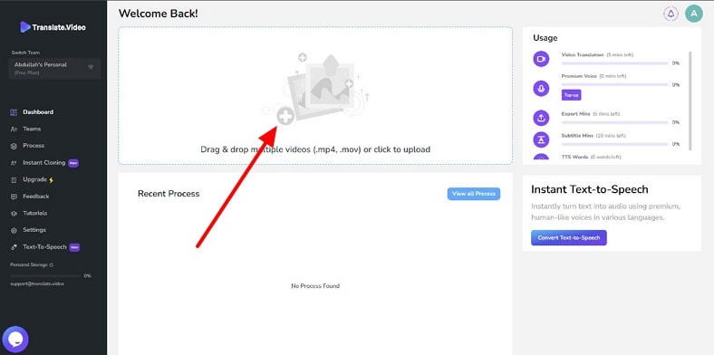 add chinese video in translate video