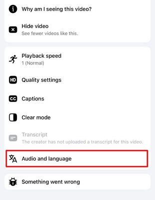 open audio and language settings