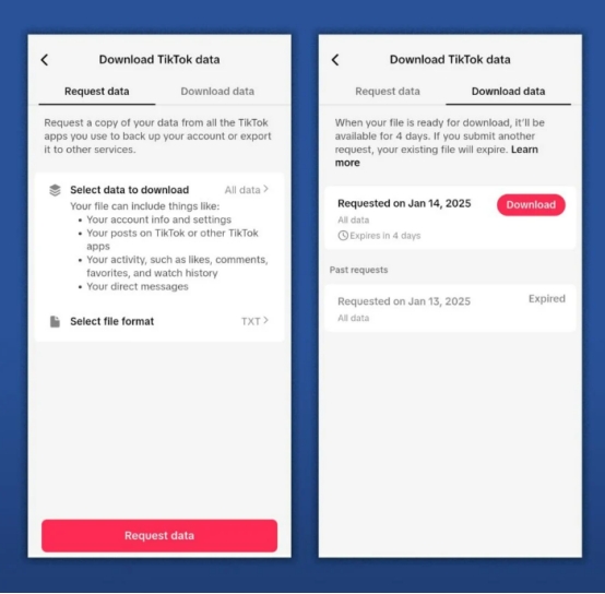 download tiktok data