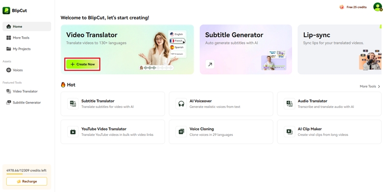 go to video translator tool blipcut