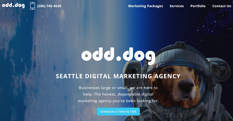 Odd Dog Small Business Branding