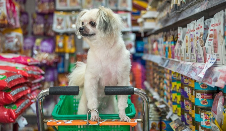 Pet Economy Most Profitable Business