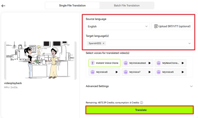 choose target language for marketing video