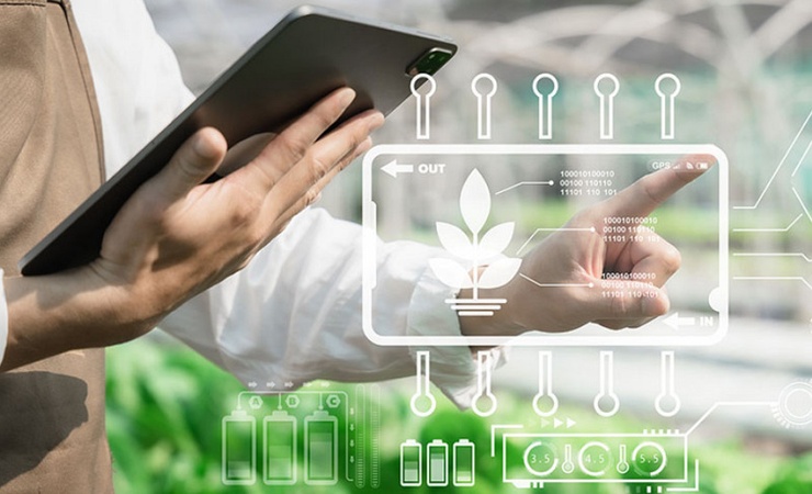 Sustainability Skills to Put on Resume