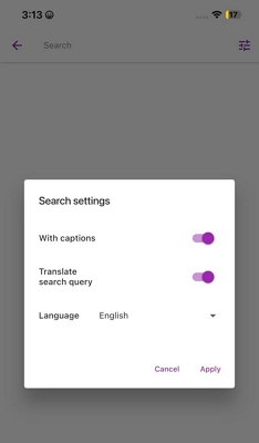 translate movies using lingvotube